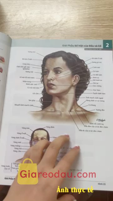 Giảm giá Sách Atlas Giải Phẫu người (bản số 8/2023). Nchung bọc hàng cẩn thânj. sách bìa cứng . dễ chịu nha. chưa đọc. 