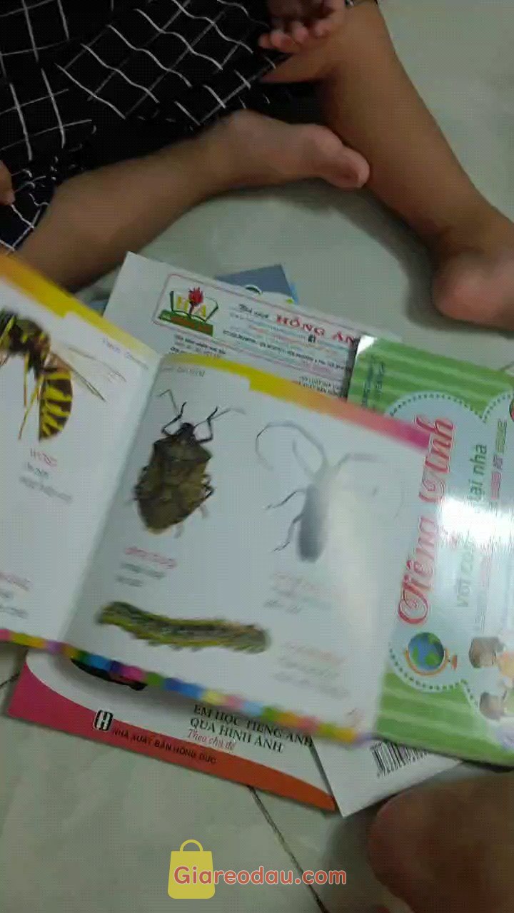 Giảm giá [Mã giảm 35%] SÁCH - Em học tiếng anh qua hình ảnh - Dụng cụ học sinh. Shop giao nhanh, đóng hàng ok. Mình đặt 9 cuốn mà shop giao nhầm thành. 