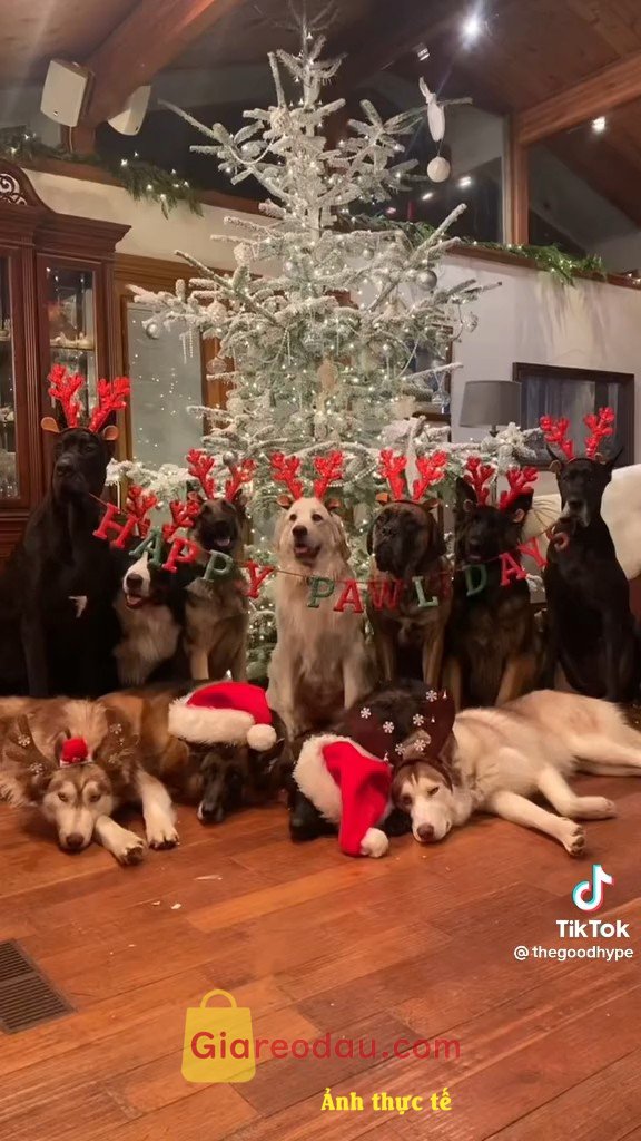 Giảm giá [Mã giảm 20%] Sách YBM Toeic Reading 1000 Vol 2 (Tái Bản). Omg nhận quyển sách xong mới hiểu tại sao nó tận mấy trăm. Dày. 