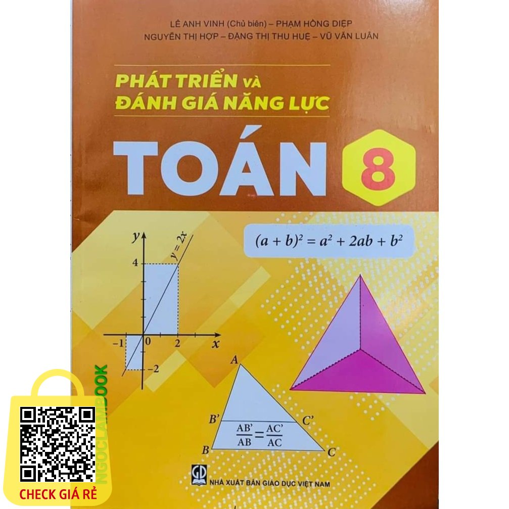 Sách Phát triển và đánh giá năng lực Toán 8